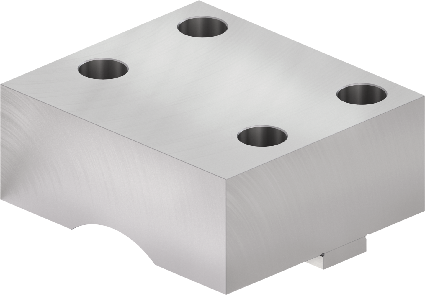 SGS-F 125-110-50 — SCHUNK Mordentes