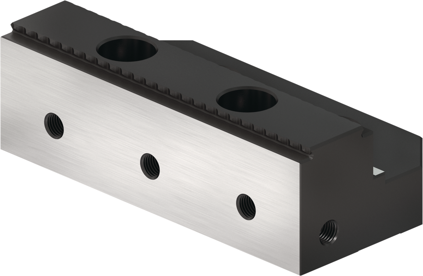 SGWB-G3-B 125-66-40 — SCHUNK Mordentes