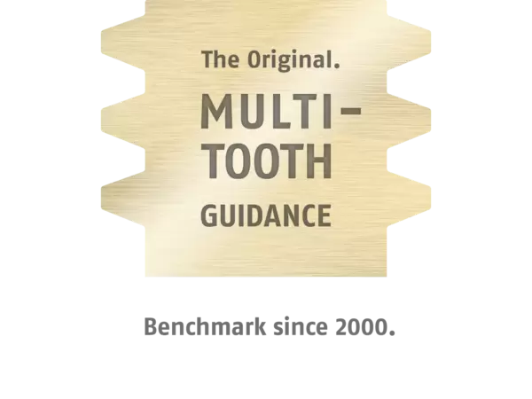 Multi-tooth guidance Multi-tooth