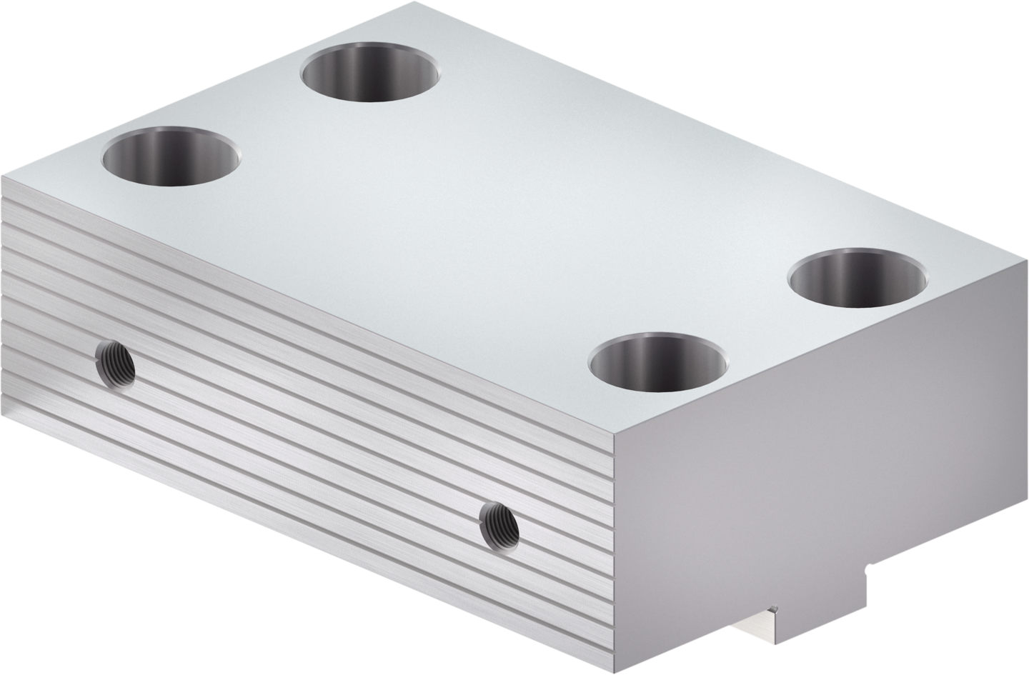 SGBB-F 160-108-49 — SCHUNK Mordentes