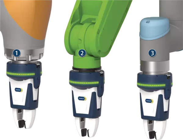 Contenu disponible prochainement