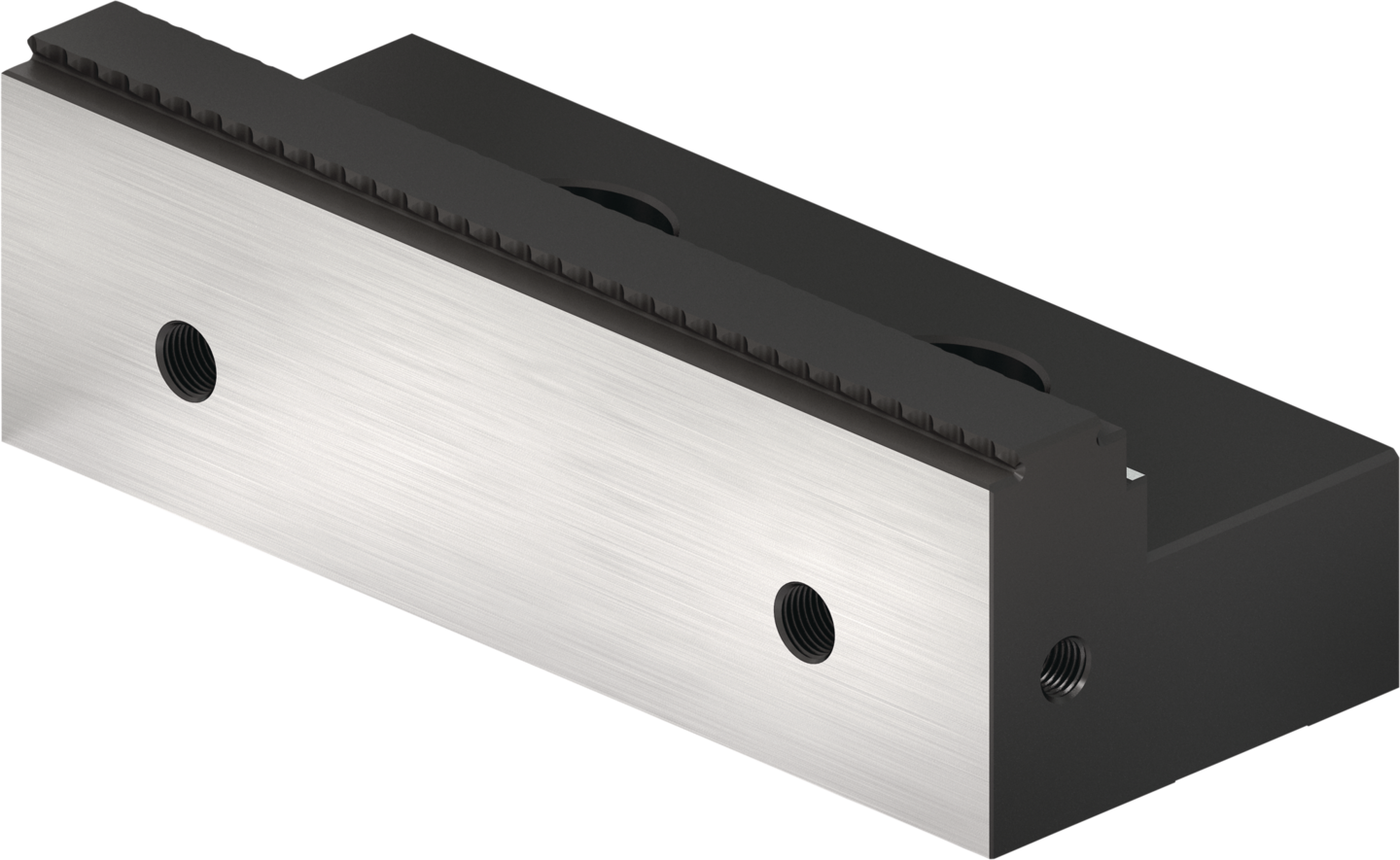 SGWB-G3-B 160-81-50 — SCHUNK Mordentes