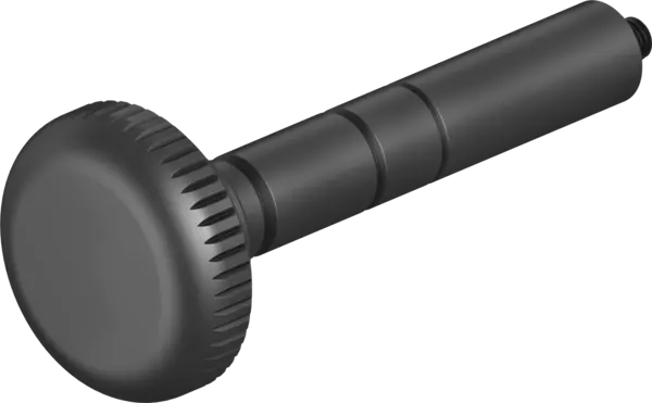 Bolt extractor
