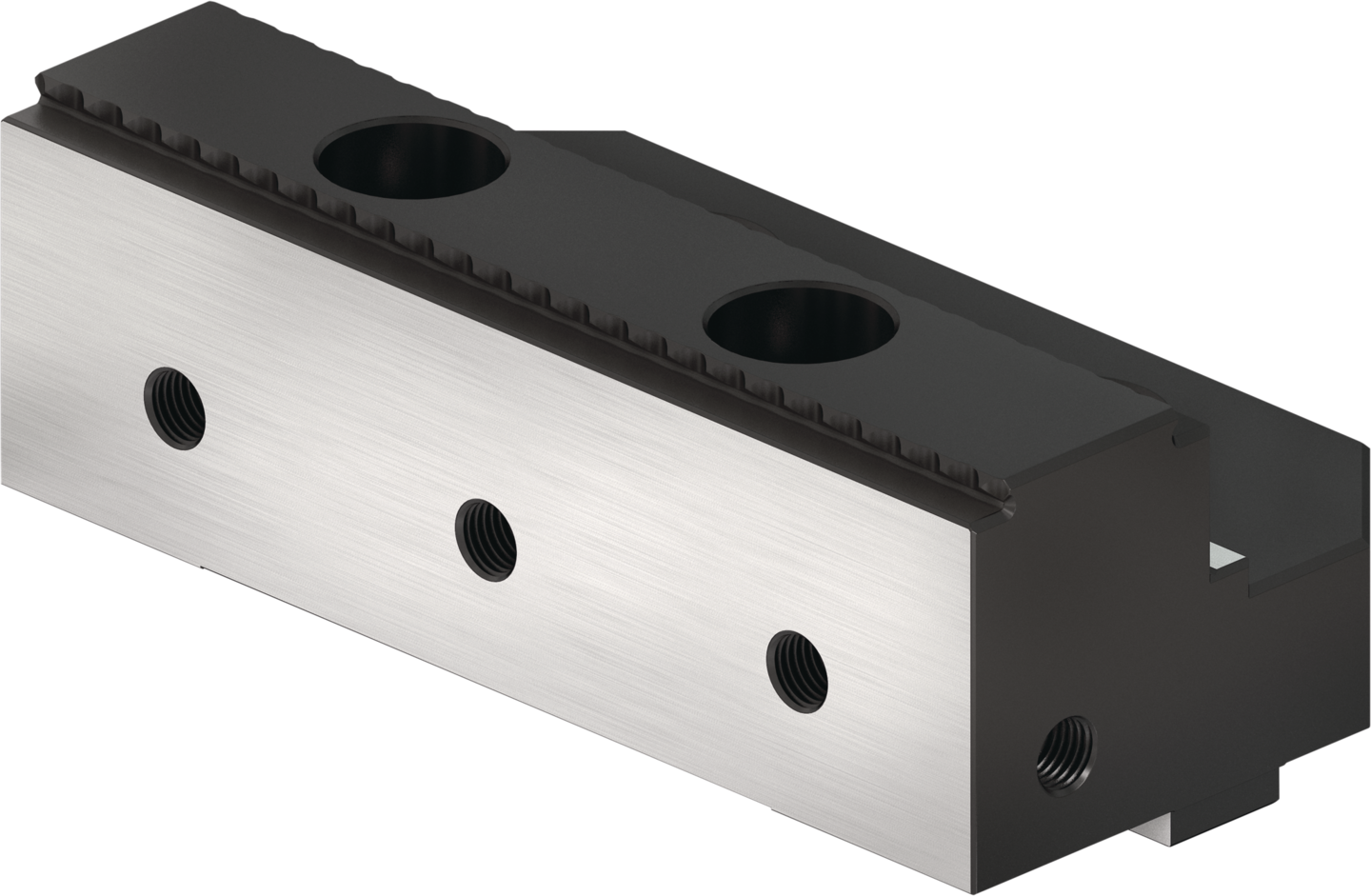 SGWB-G3-F 125-66-40 — SCHUNK Mordentes
