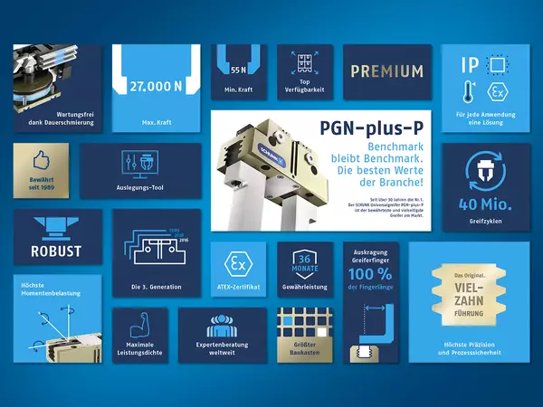 Cifras y datos del PGN-plus-P