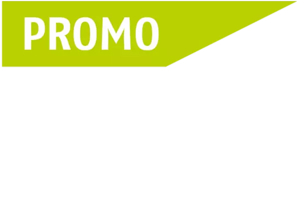 PROMO Green Flag SCHUNK