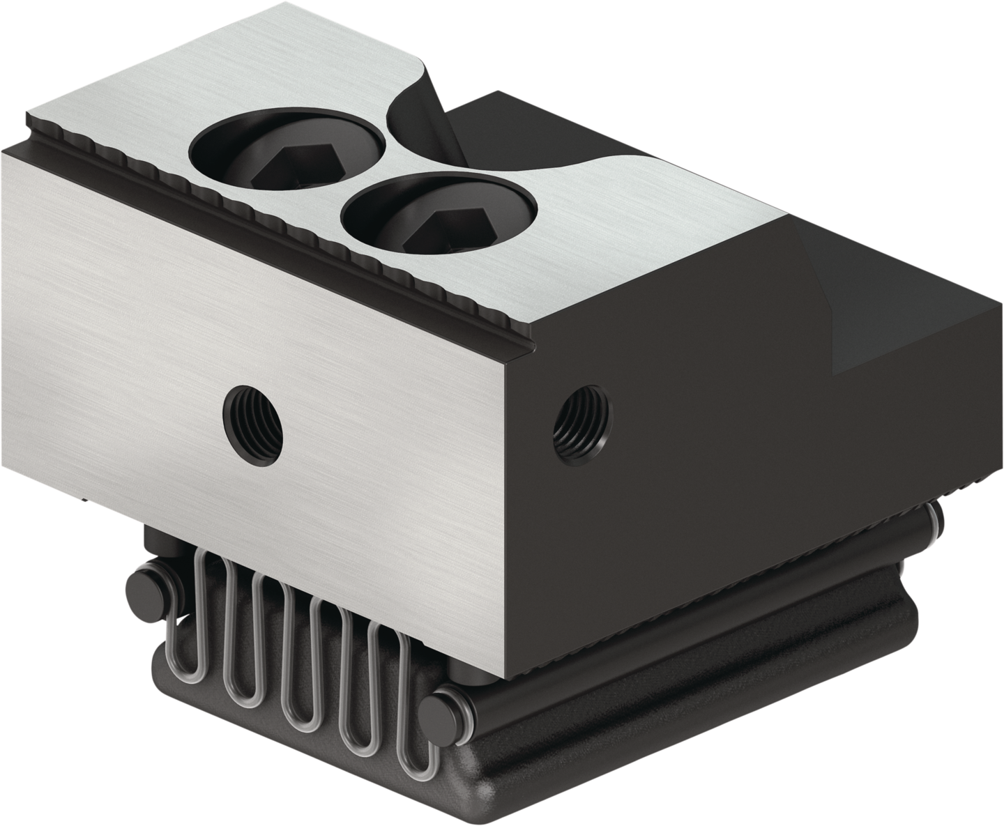 SGV 65-64-34.9 — SCHUNK Mordentes