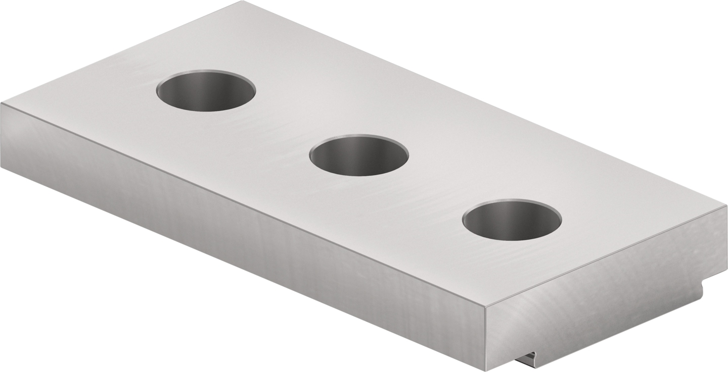 GBW-H 100-10.6-50 — SCHUNK Mordentes